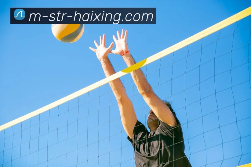 海星体育服务体系